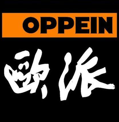  歐派家居集團(tuán)股份有限公司的圖標(biāo)